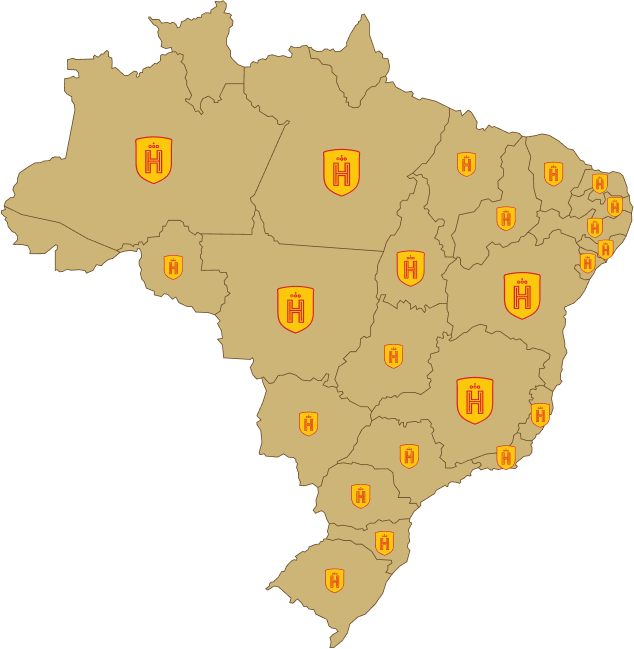 Mapa do Brasil com a presença da Havanna nos estados